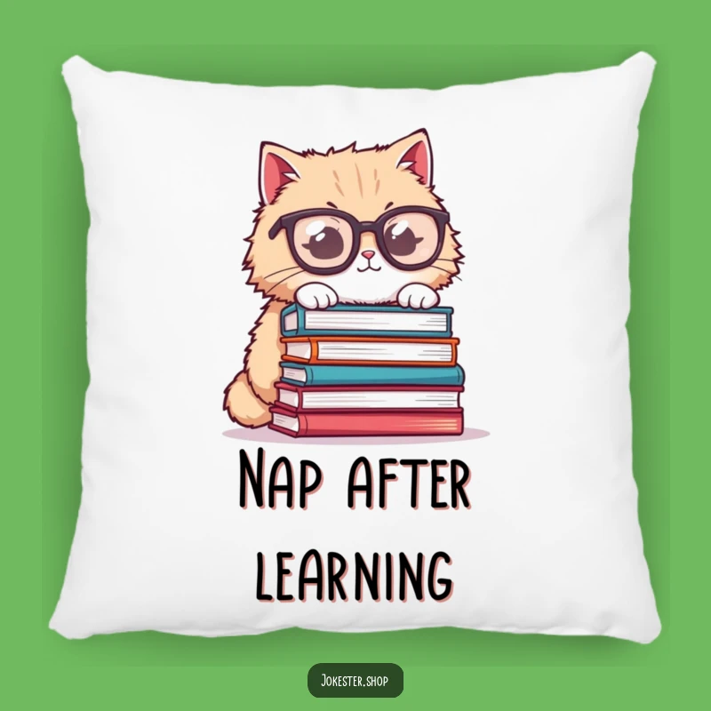 Funny Cat Glasses Pillow - Cozy Book Nook Humor, Great Funny Gift
